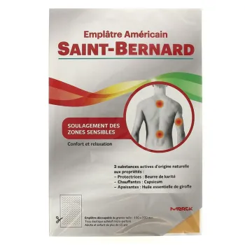  Saint Bernard Parches Adhesivos Microperforados 1 unidad