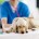 Veterinaria