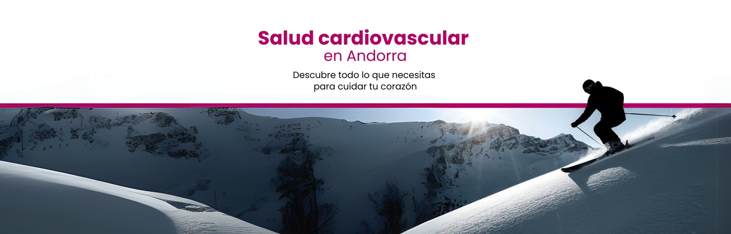 salud cardiovascular colesterol