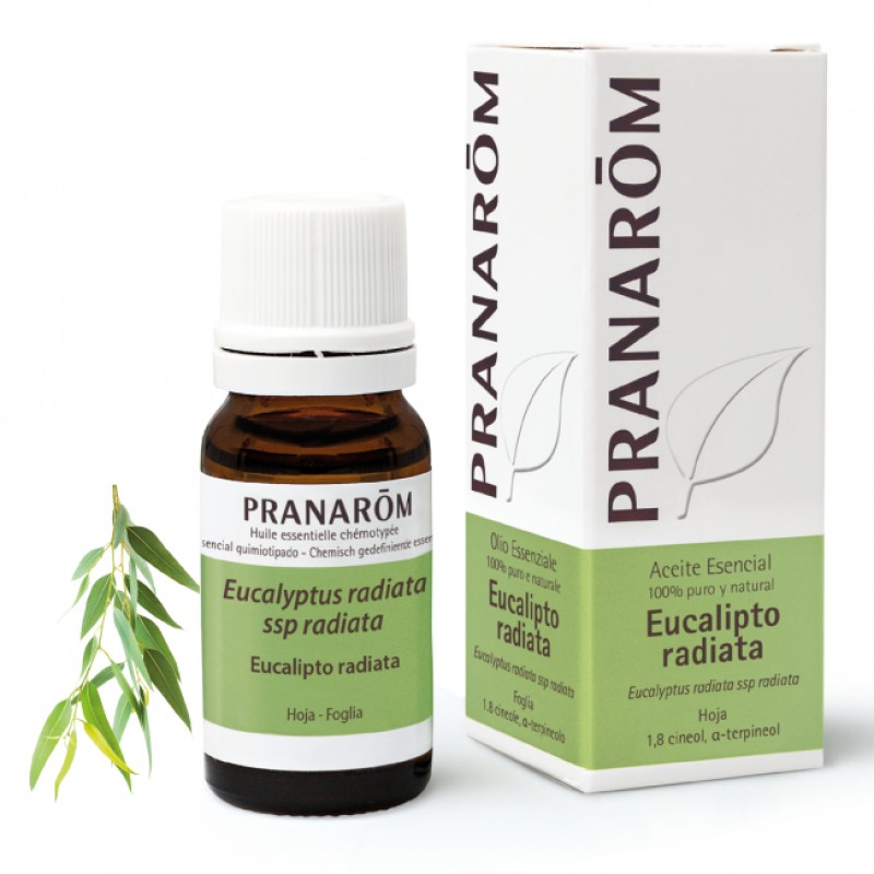 PRANAROM Eucalipto radiata 10 ml