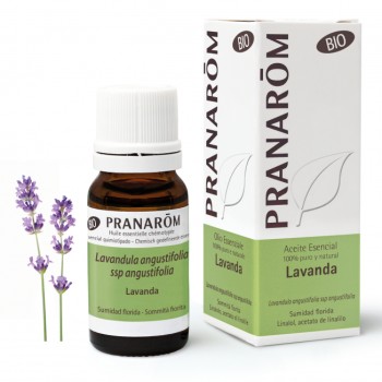 PRANAROM Lavanda 10 ml PRANAROM Lavanda 10 ml
