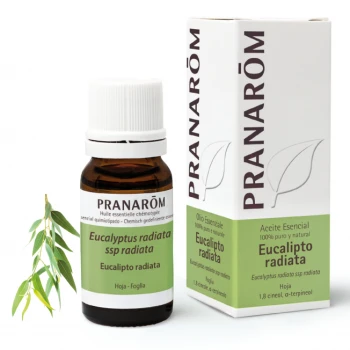 PRANAROM Eucalyptus radiata 10 ml