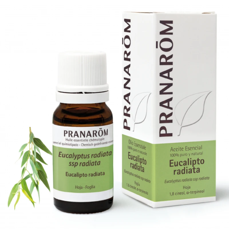PRANAROM Eucalyptus radiata 10 ml