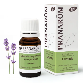 PRANAROM Lavender 10 ml