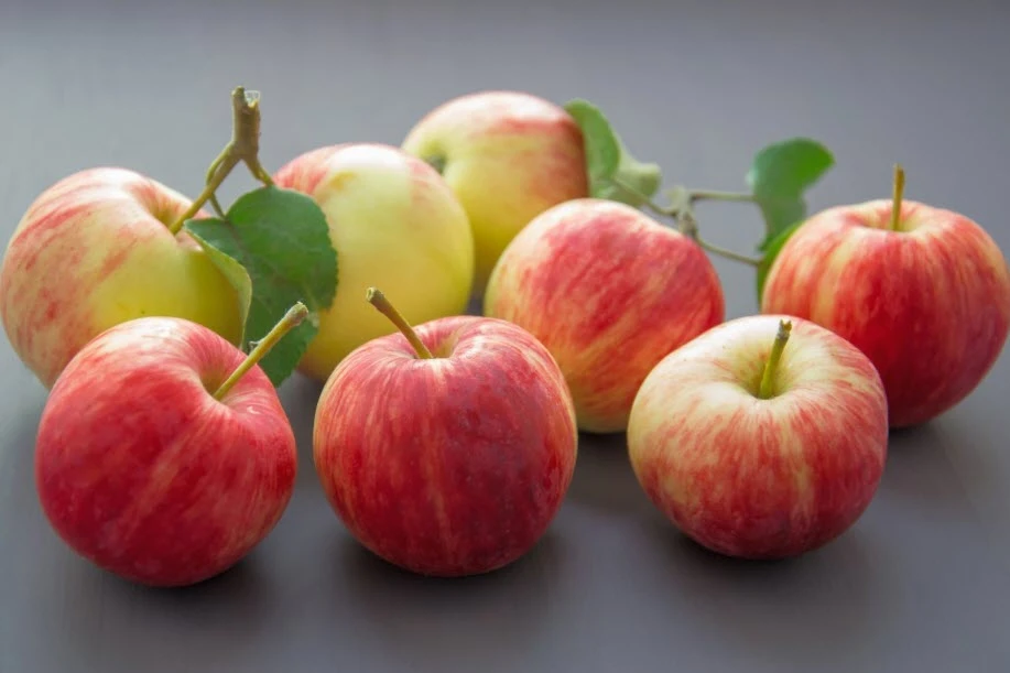 DIETA MANZANA